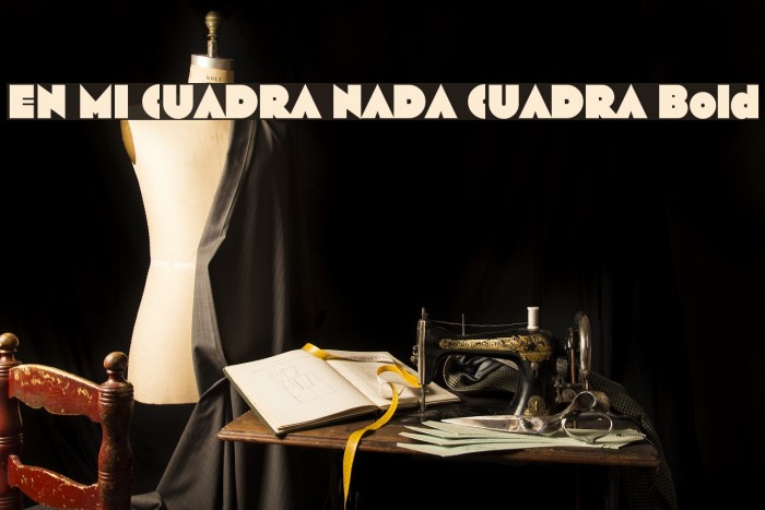 EN MI CUADRA NADA CUADRA Bold Example 3