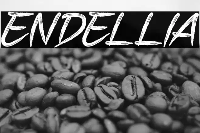 ENDELLIA Font examples