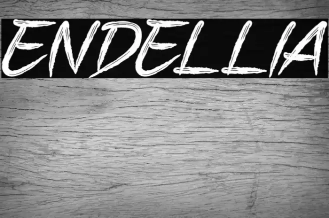 ENDELLIA Font examples