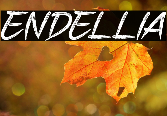 ENDELLIA Example 3