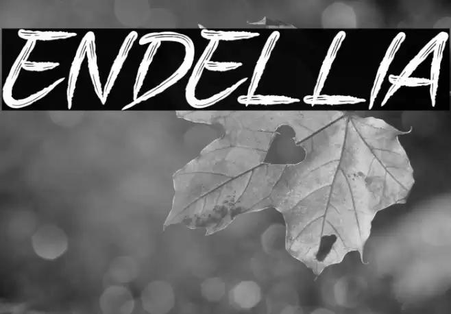 ENDELLIA Font examples