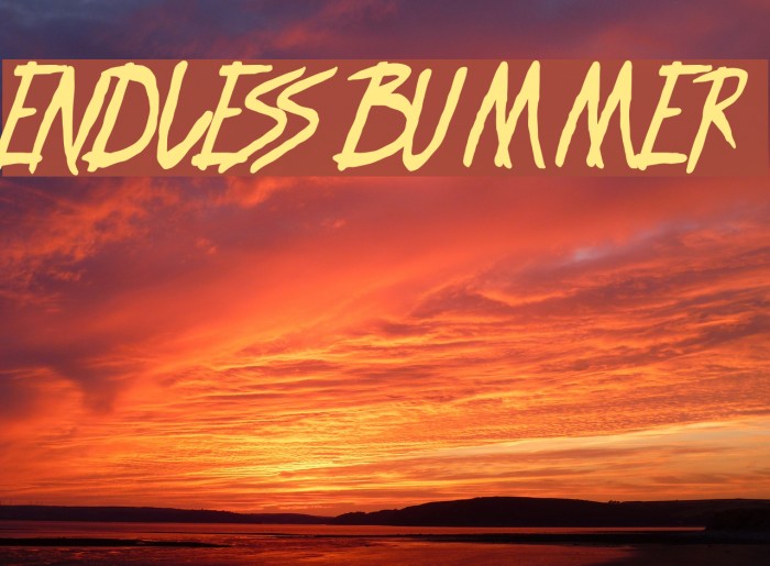 ENDLESS BUMMER Font examples