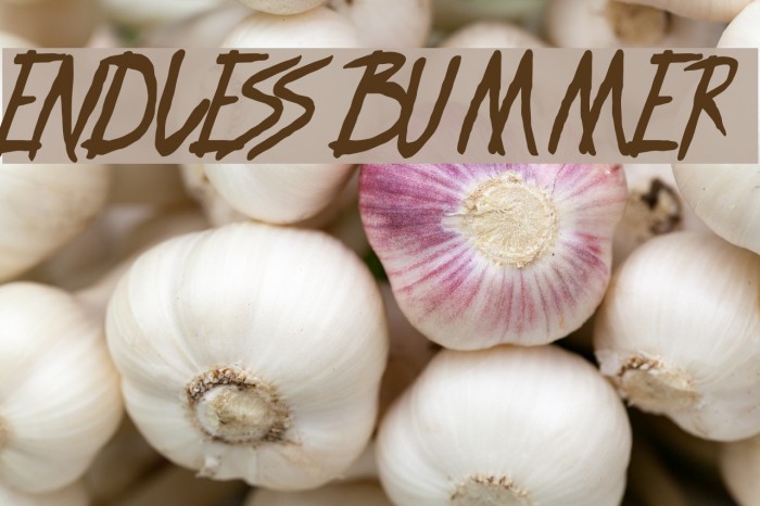 ENDLESS BUMMER Font examples