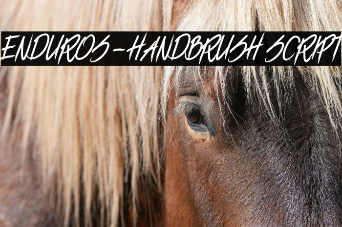 ENDUROS - HANDBRUSH SCRIPT Example 1