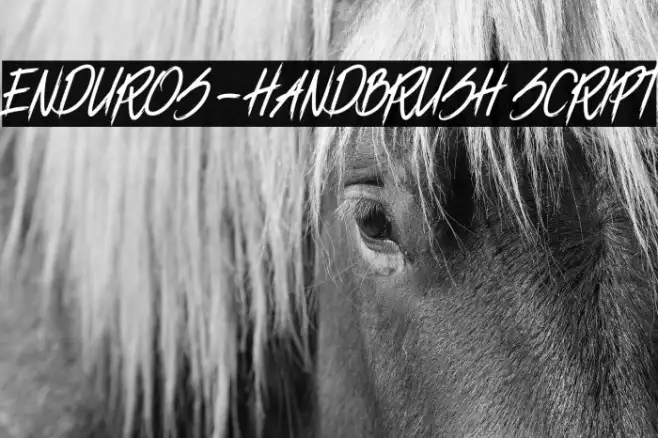 ENDUROS - HANDBRUSH SCRIPT Example 1