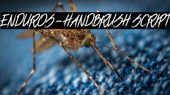 ENDUROS - HANDBRUSH SCRIPT Example 2
