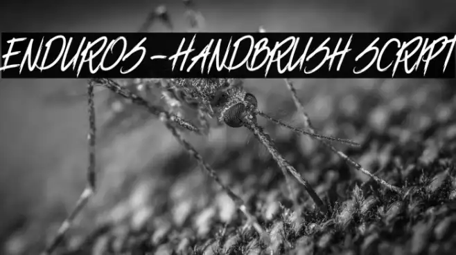 ENDUROS - HANDBRUSH SCRIPT Example 2