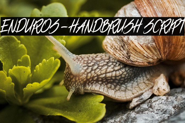 ENDUROS - HANDBRUSH SCRIPT Example 3