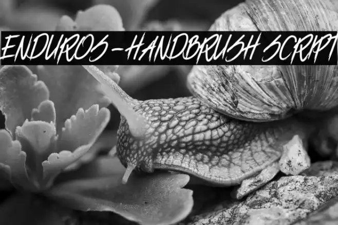 ENDUROS - HANDBRUSH SCRIPT Example 3