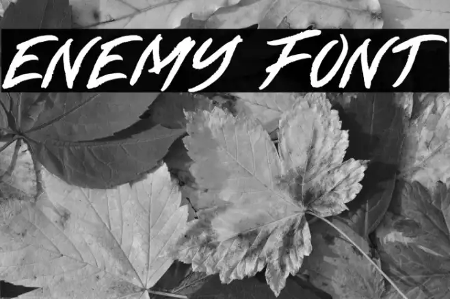 ENEMY Example 1