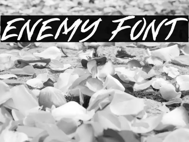 ENEMY Example 2
