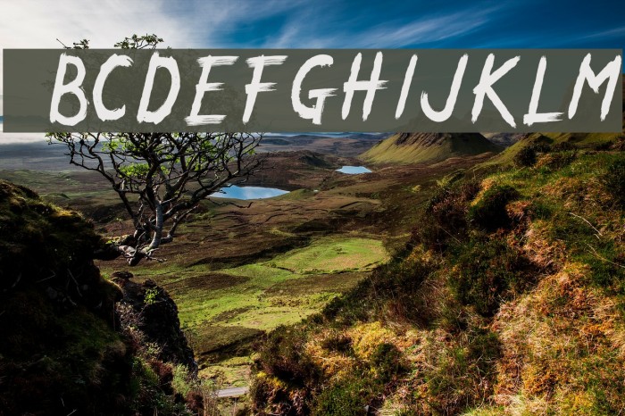 ENERGY OF ASIA Example 2