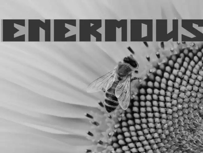 ENERMOUS Example 1