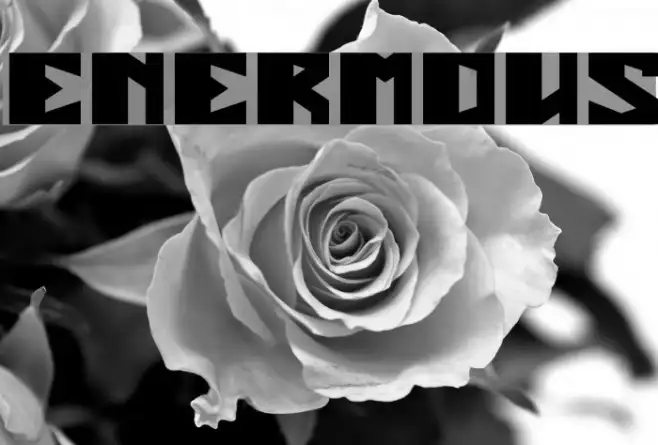 ENERMOUS Example 3