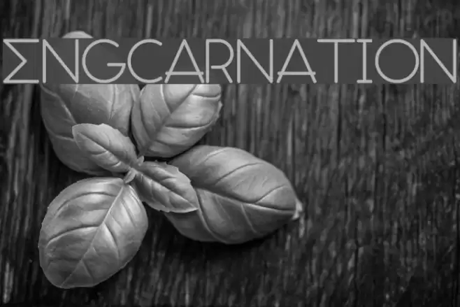 ENGCARNATION Font examples