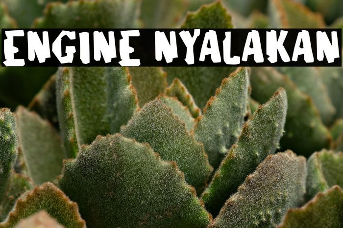 ENGINE NYALAKAN Example 1