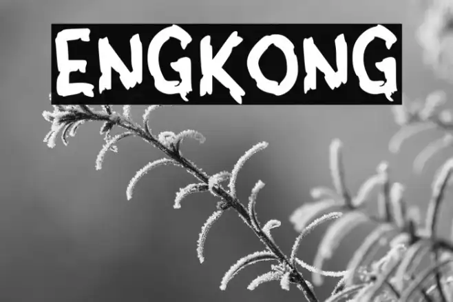 ENGKONG Example 1