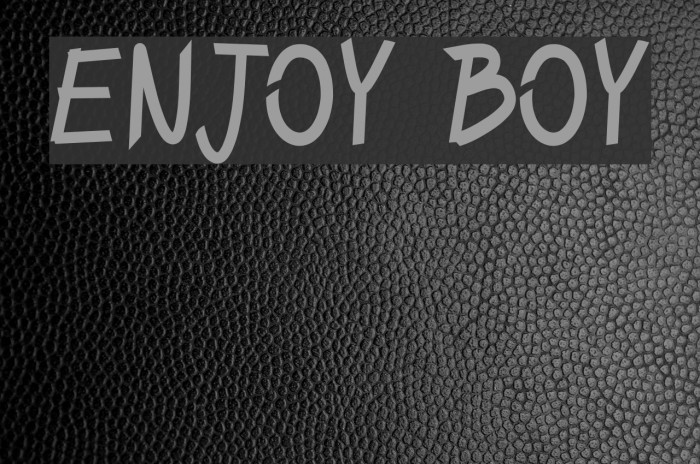 ENJOY BOY Font examples