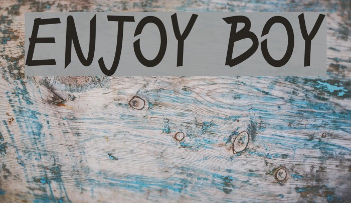 ENJOY BOY Font examples