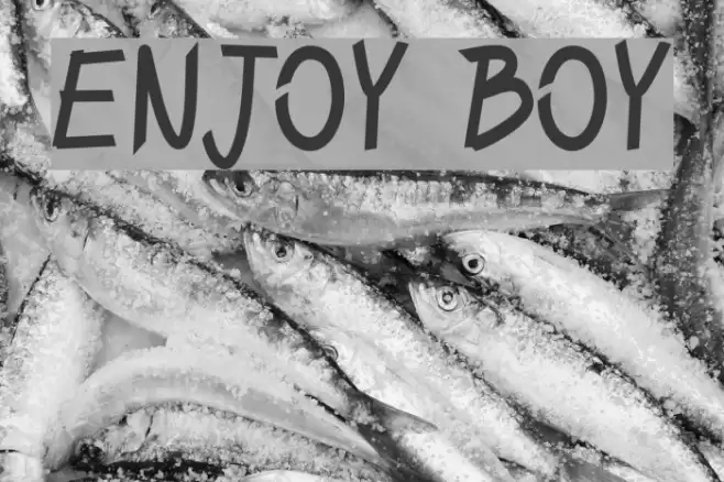 ENJOY BOY Font examples
