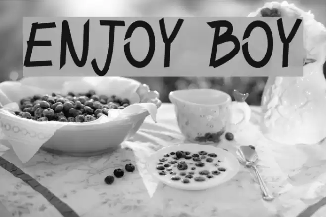 ENJOY BOY Font examples