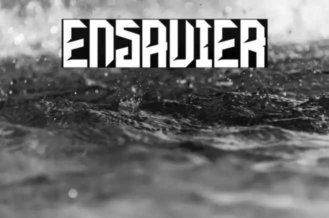 ENSAVIER Example 1