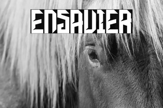 ENSAVIER Example 2