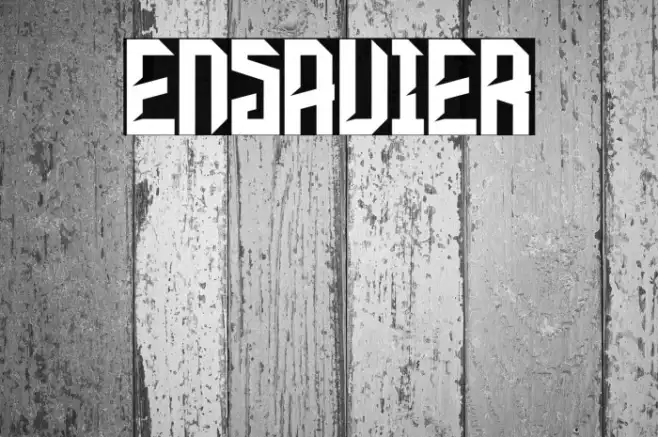 ENSAVIER Example 3