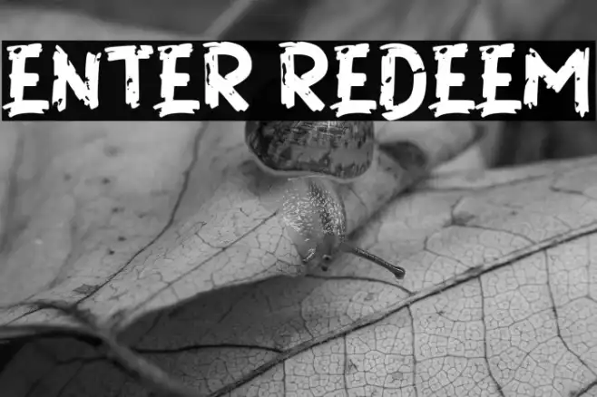 ENTER REDEEM Example 1