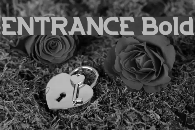 ENTRANCE Bold Font examples