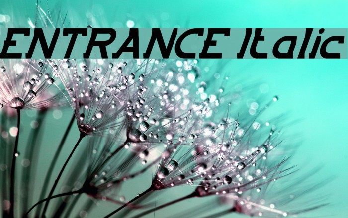 ENTRANCE Italic Font examples