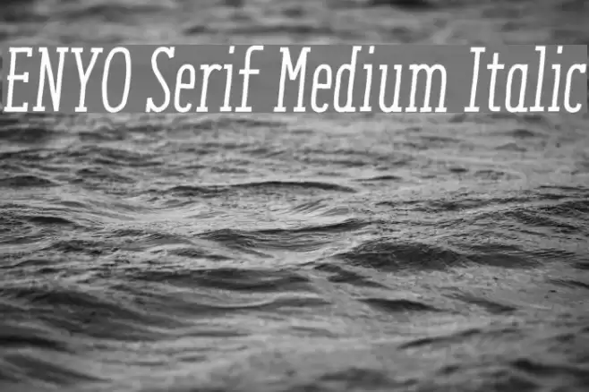 ENYO Serif Medium Italic Font examples