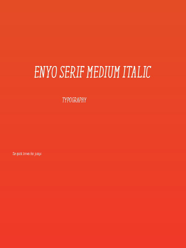 ENYO Serif Medium Italic Poster
