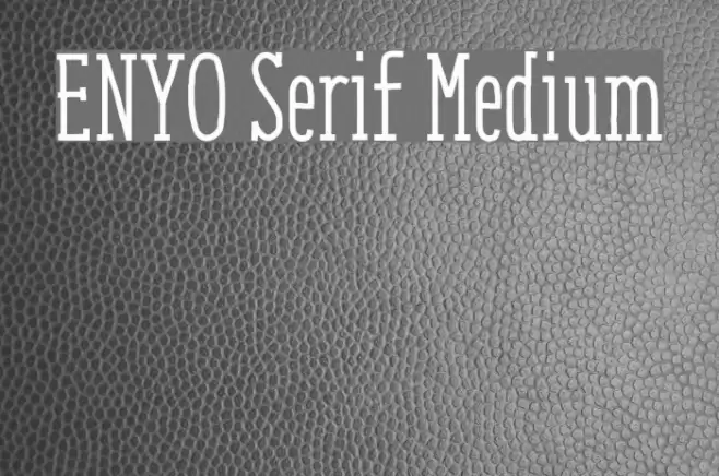 ENYO Serif Medium Font examples