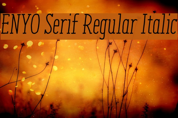 ENYO Serif Regular Italic Font examples