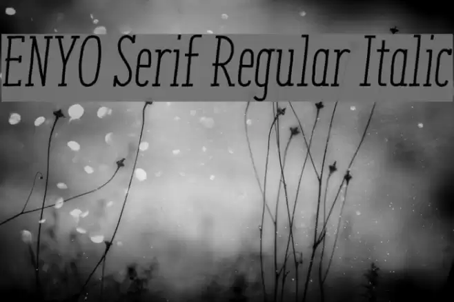 ENYO Serif Regular Italic Font examples
