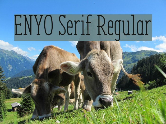 ENYO Serif Regular Font examples