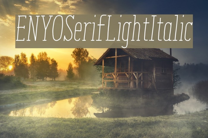 ENYOSerifLightItalic Font examples