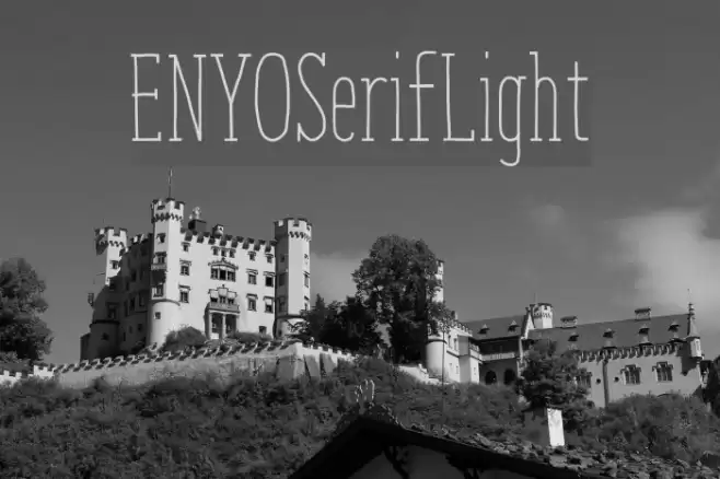 ENYOSerifLight Font examples