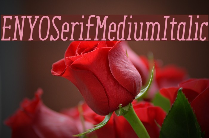 ENYOSerifMediumItalic Font examples
