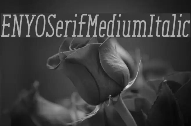 ENYOSerifMediumItalic Font examples
