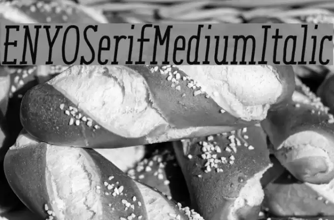 ENYOSerifMediumItalic Font examples