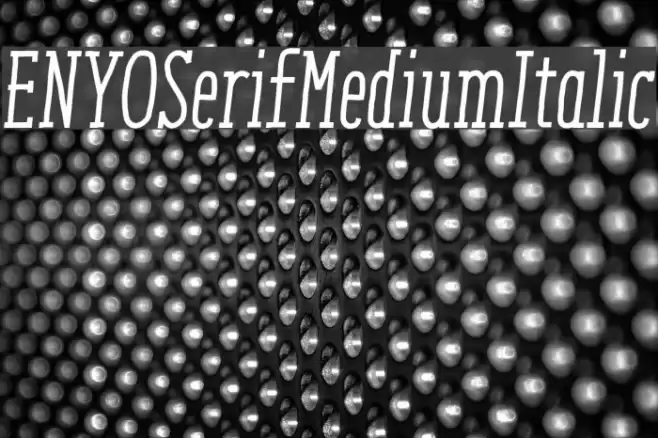 ENYOSerifMediumItalic Font examples