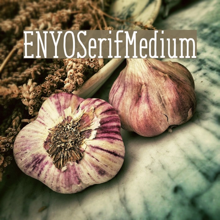 ENYOSerifMedium Font examples