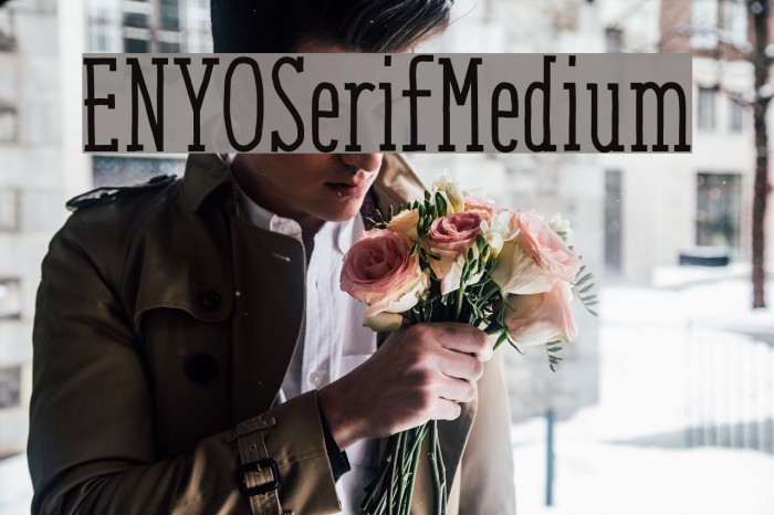 ENYOSerifMedium Font examples