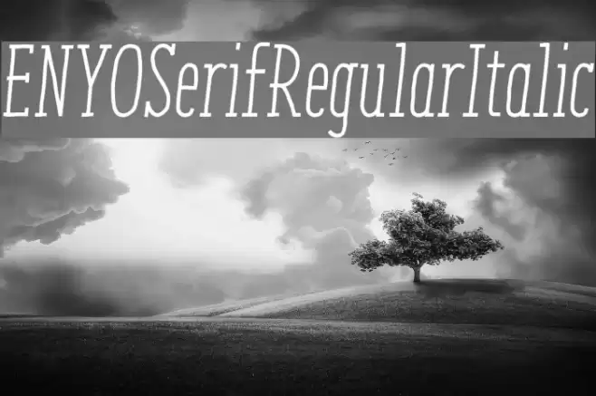 ENYOSerifRegularItalic Font examples