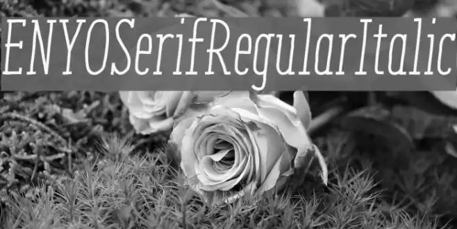 ENYOSerifRegularItalic Font examples
