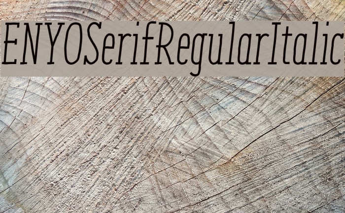 ENYOSerifRegularItalic Font examples