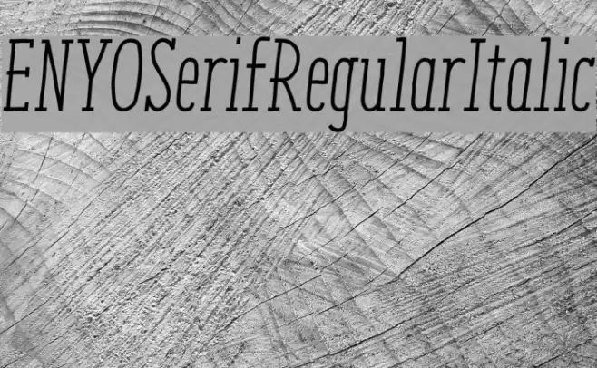 ENYOSerifRegularItalic Font examples