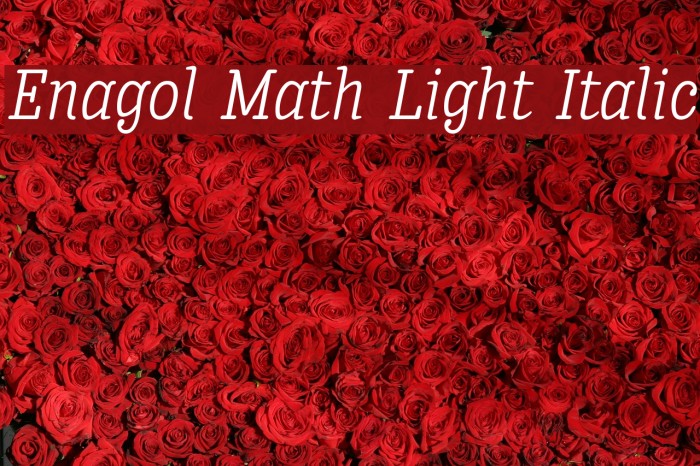 Enagol Math Light Italic Font examples